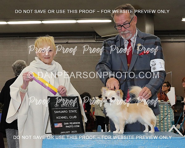 Sahuaro State Kennel Club 1 Friday January 31, 2025