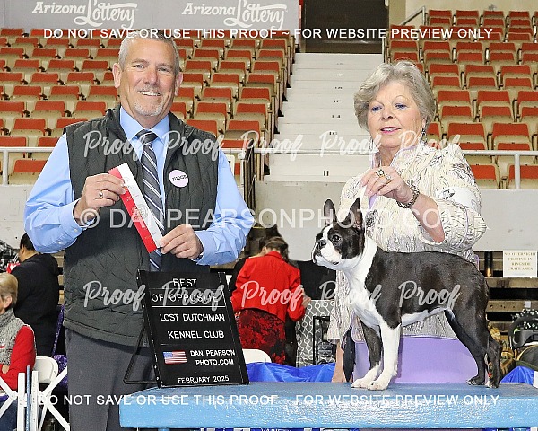 Lost Dutchman Kennel Club 1 Sunday February 2, 2025