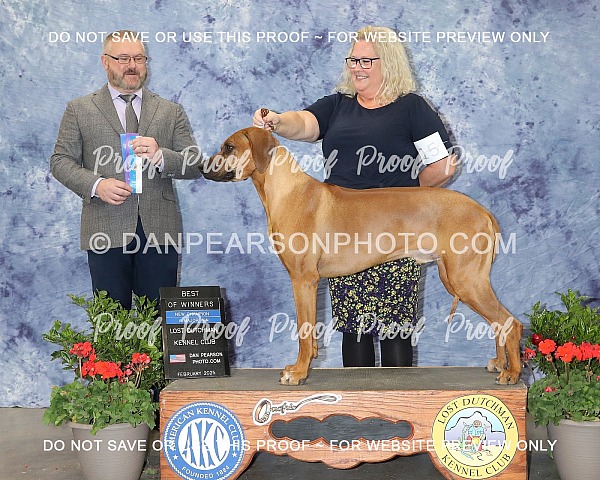 Lost Dutchman Kennel Club 2 Monday February 3, 2025