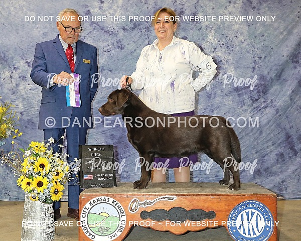 Garden City Kennel Club 2 Saturday April 19, 2025