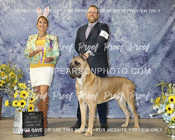 Garden City Kennel Club 3  Sunday April 20, 2025