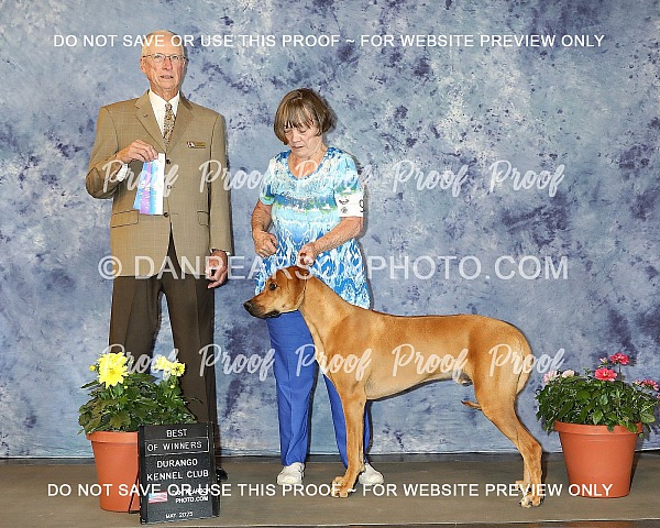 Durango Kennel Club 1 Friday May 16, 2025 (1st Show)