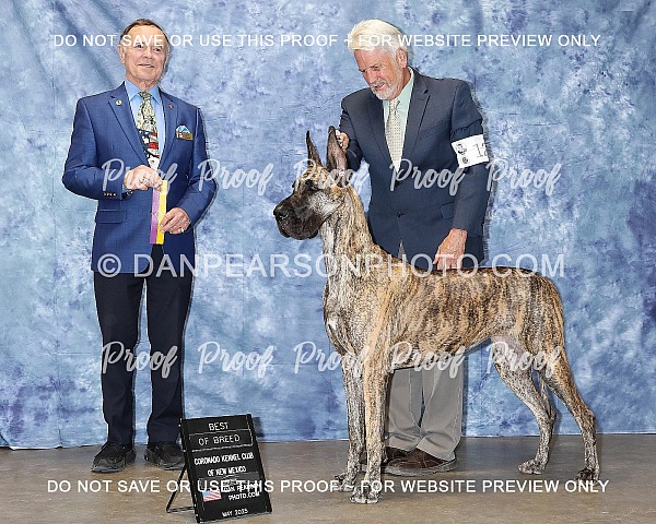 Coronado Kennel Club 1 Sunday May 25, 2025