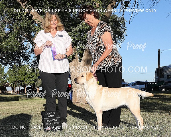 Rio Pecos Kennel Club 3 Sunday October 5, 2025