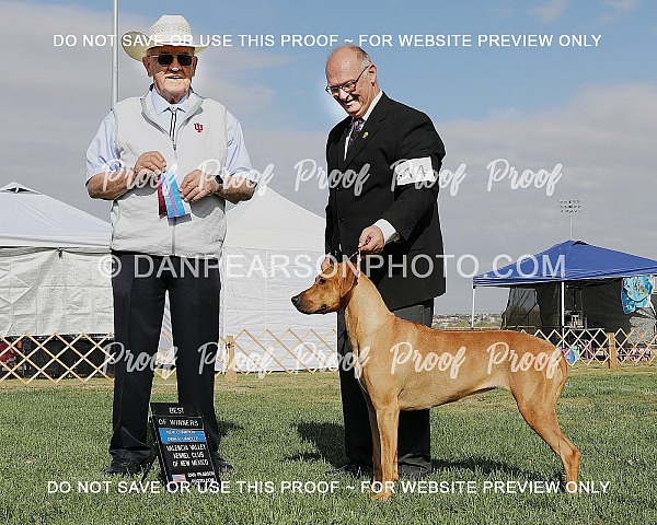 Valencia Valley Kennel Club 1 Friday October 10, 2025