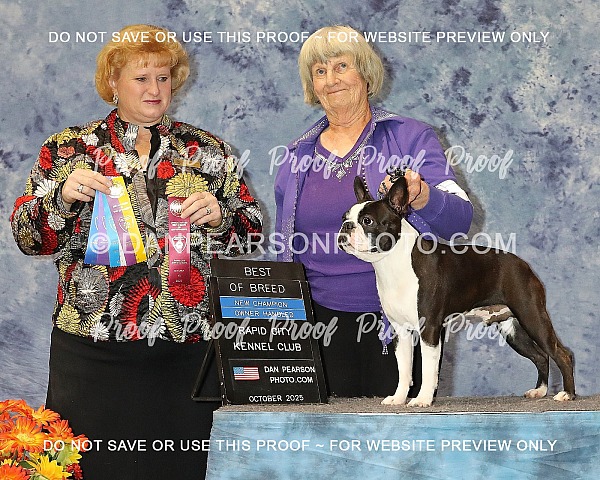 Rapid City Kennel Club 4 Sunday October 19, 2025