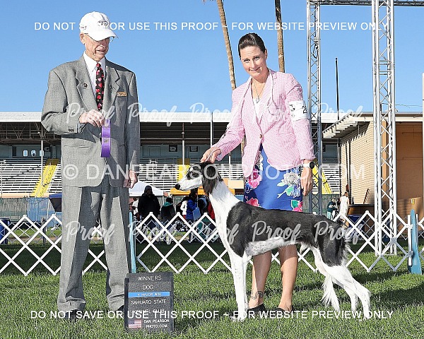 Sahuaro State Kennel Club 1 Friday January 30, 2026