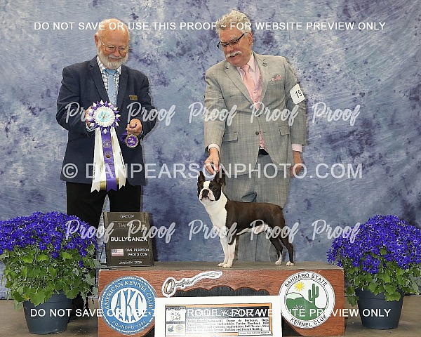 Sahuaro State Kennel Club 2 Saturday January 31, 2026