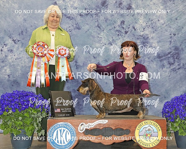 Lost Dutchman Kennel Club 1 Sunday February 1, 2026 