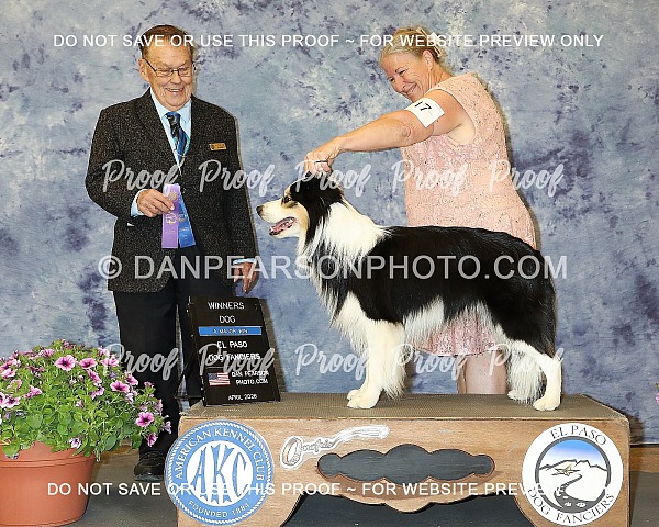 El Paso Dog Fanciers 1 April 10, 2026