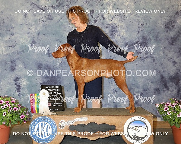 El Paso Dog Fanciers 2 April 11, 2026