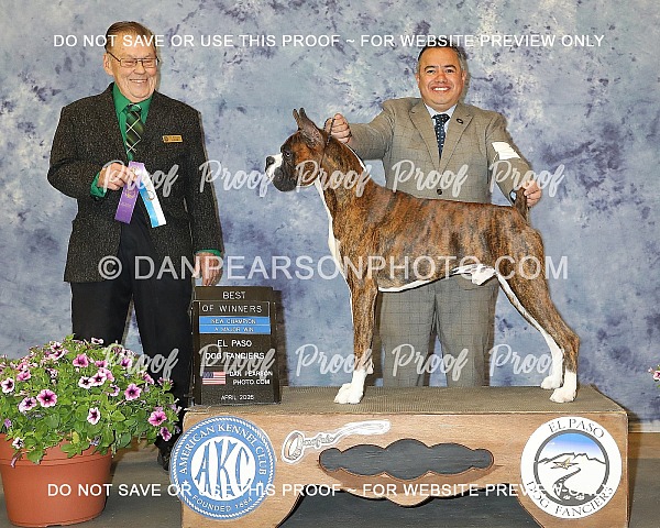 El Paso Dog Fanciers 3 April 12, 2026