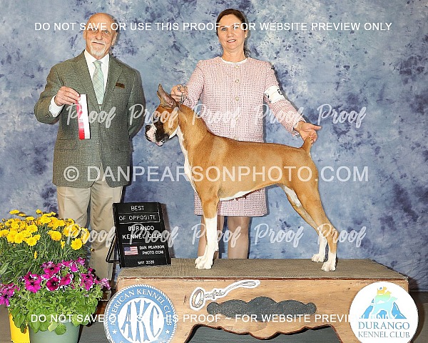 Durango Kennel Club 4 Sunday May 17, 2026