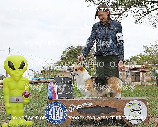 Rio Pecos Kennel Club 2 Saturday October 3, 2026