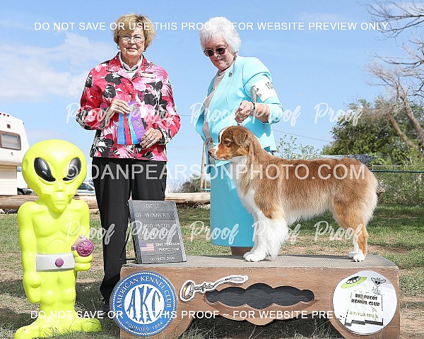 Rio Pecos Kennel Club 3 October 4, 2026